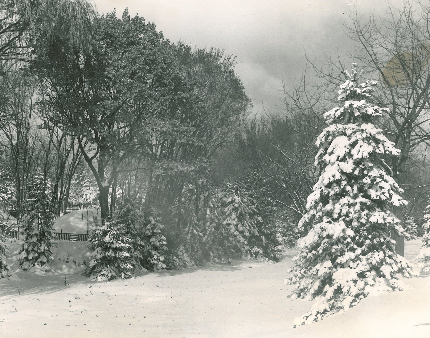 1951